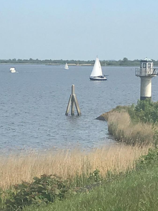 De Lauwersmeer Vogel Mit Eingezaeuntem Garten Anjum Bagian luar foto